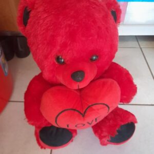 RED MEDIUM TEDDY