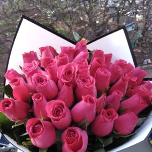 HOT PINK ROSES