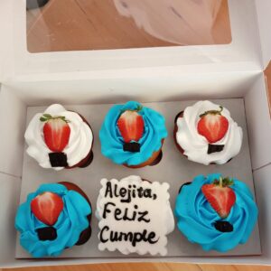 CUPCAKES BOX GIFT
